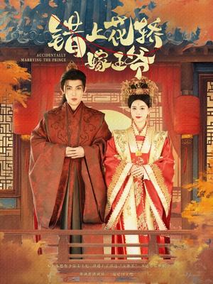《错上花轿嫁王爷(80集)一孚&王文君(夸克网盘)》短剧封面