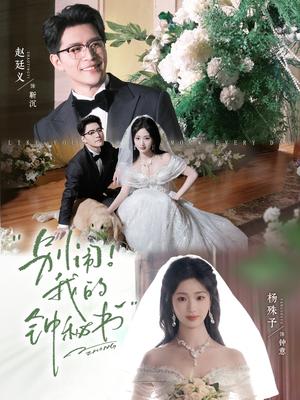 《别闹!我的钟秘书(84集)杨殊予&赵廷义(1080P)(夸克网盘)》短剧封面