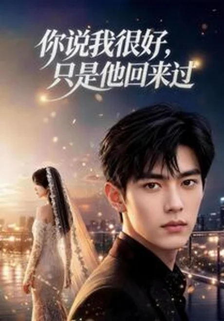《你说我很好，只是他回来过（83集）AI短剧（夸克网盘）》短剧封面