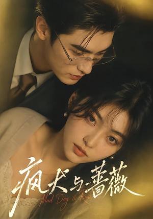 《疯犬与蔷薇(48集)(夸克网盘)》短剧封面