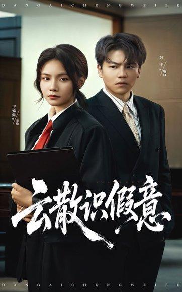 《云散识假意》短剧封面