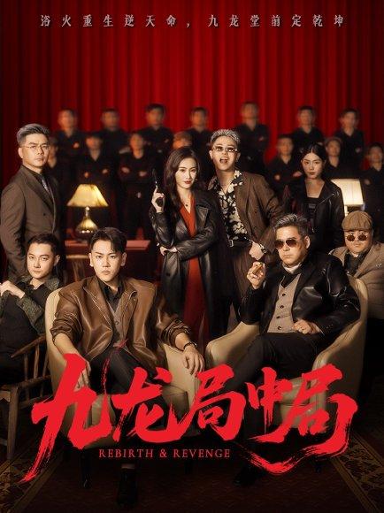 《九龙局中局（71集）刘龙泽&南书》短剧封面