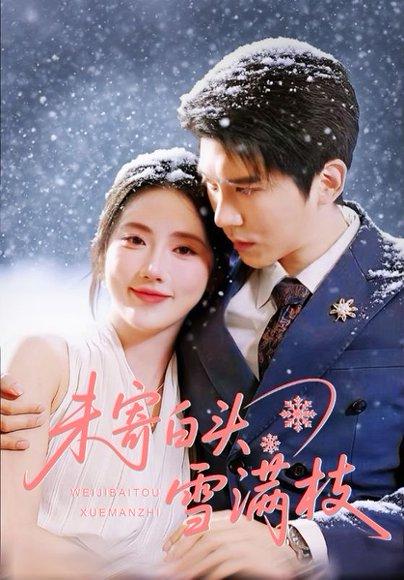 《未寄白头雪满枝(61集)金鑫欣&冯思源》短剧封面