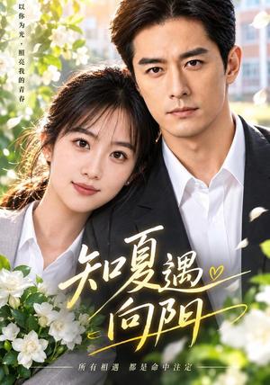 《知夏遇向阳(52集)AI短剧(夸克网盘)》短剧封面