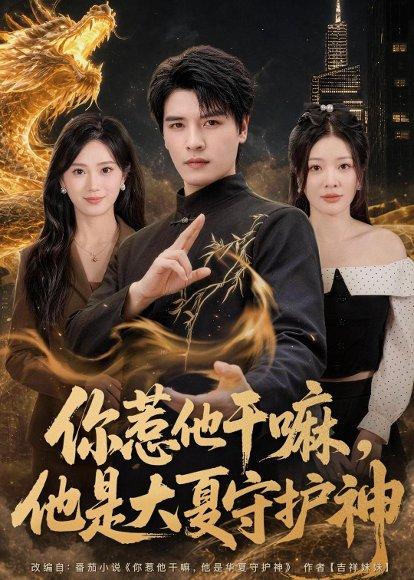《你惹他干嘛，他是大夏守护神（78集）李彬航＆林初（百度网盘）》短剧封面