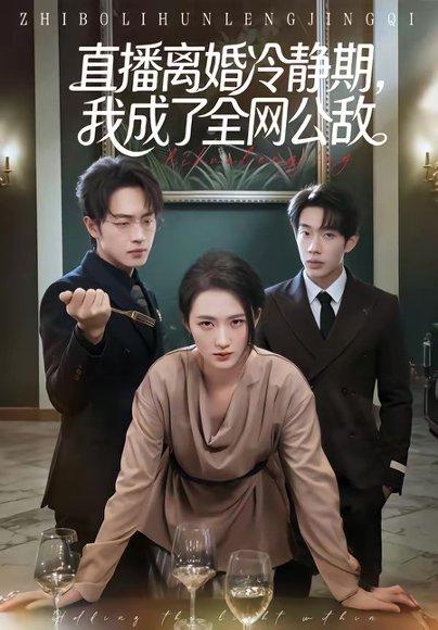《直播离婚冷静期，我成了全网公敌（70集）于斯年＆江潼（百度网盘）》短剧封面