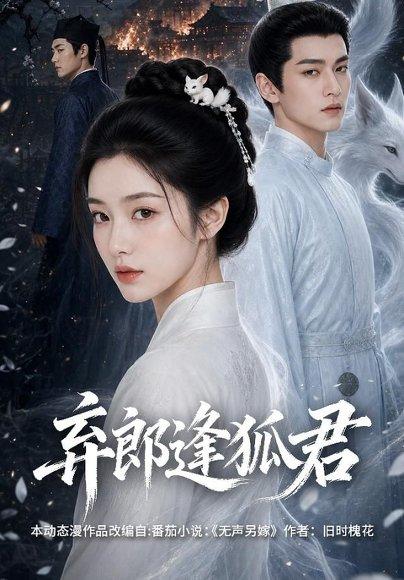 《弃郎逢狐君(41集)AI短剧(百度网盘)》短剧封面