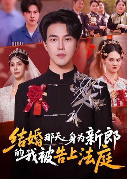 《结婚那天,身为新郎的我被告上法庭(59集)陆绎方&郑宁玥(百度网盘)》短剧封面