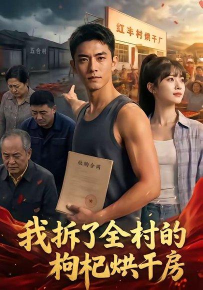 《我拆了全村的枸杞烘干房（40集）（百度网盘）》短剧封面