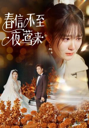 《春信不至夜莺来(50集)冯易鑫(夸克网盘)》短剧封面