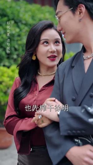 《情深不抵缘错（60集）刘晗&张佳翔（夸克网盘）》短剧封面