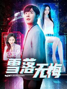 《雪落无悔(102集)(夸克网盘)》短剧封面