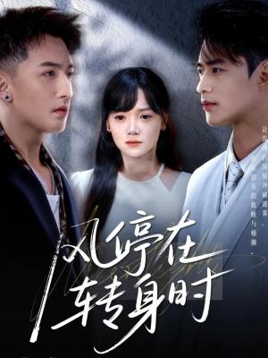 《风停在转身时（72集）黄小再＆秦远》短剧封面