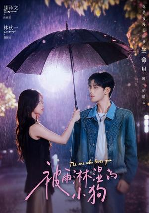 《被雨淋湿的小狗（80集）林秋一＆滕泽文（1080P）（夸克网盘）》短剧封面