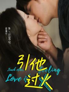 《引他过火(40集)(夸克网盘)》短剧封面