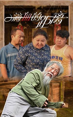 《城北暖洋洋（60集）（夸克网盘）》短剧封面