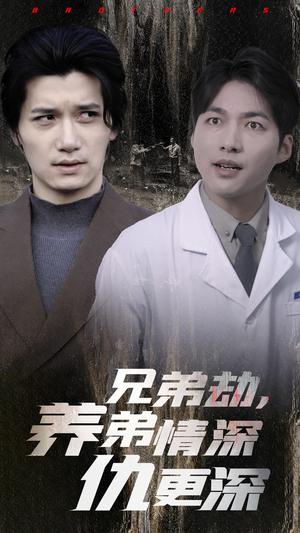 《兄弟劫养弟情深仇更深(28集)(夸克网盘)》短剧封面