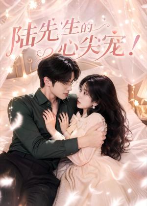 《陆先生的心尖宠(76集)(夸克网盘)》短剧封面