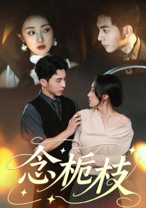 《念栀枝(81集)李可乐&海依凡》短剧封面