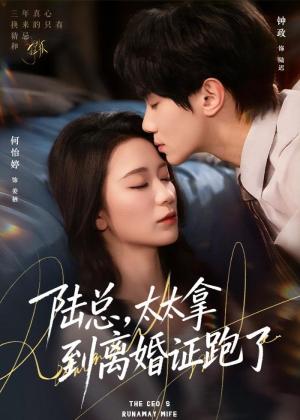《陆总，太太拿到离婚证跑了（86集）钟政＆何依婷（夸克网盘）》短剧封面