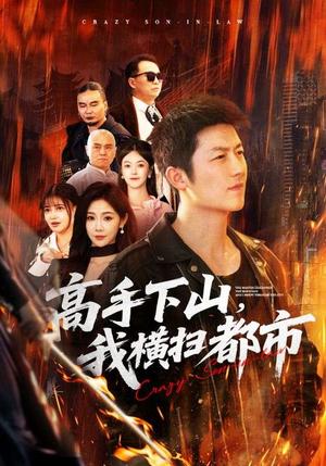 《高手下山,我横扫都市(69集)张层层&尹喜善(夸克网盘)》短剧封面