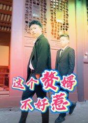 《这个赘婿不好惹》短剧封面
