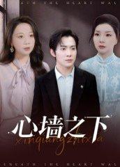 《心墙之下(43集)赵宏甲&郑抒淼》短剧封面