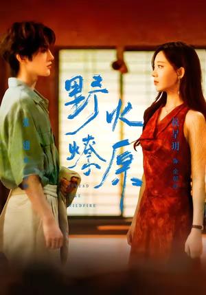 《野火燎原(72集)张翅&侯呈玥(夸克网盘)》短剧封面