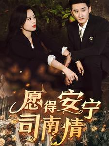 《愿得安宁司南情（76集）（夸克网盘）》短剧封面
