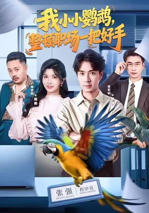 《我小小鹦鹉,整顿职场一把好手(62集)朱宏钊&林念初&周伟&负辰鑫(夸克网盘)》短剧封面