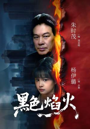 《黑色焰火(41集)朱时茂&杨伊璐(夸克网盘)》短剧封面