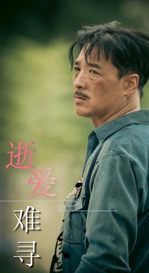 《逝爱难寻（76集）（夸克网盘）》短剧封面