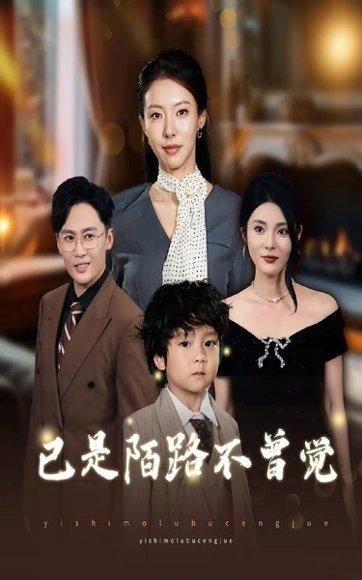 《已是陌路不曾觉(55集)曹楠&苏嘉欣》短剧封面