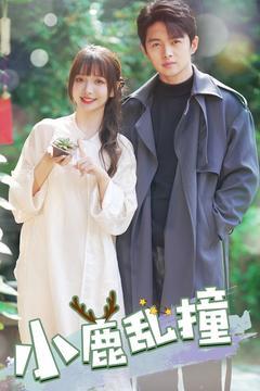 《小鹿乱撞(40集)(夸克网盘)》短剧封面