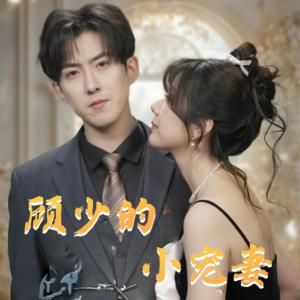 《顾少的小宠妻（90集）赵阿东＆钱思怡（夸克网盘）》短剧封面