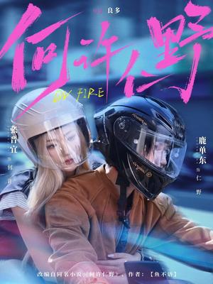 《何许仁野(60集)鹿单东&张晋宜(夸克网盘)》短剧封面