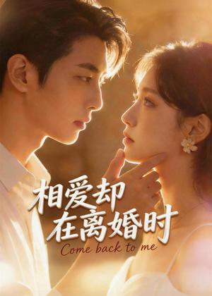 《相爱却在离婚时(61集)(夸克网盘)》短剧封面