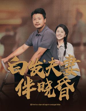 《太玄涅槃镇九霄(40集)(夸克网盘)》短剧封面