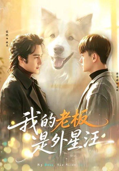 《我的老板是外星汪(55集)宋恺&李奇诺(百度网盘)》短剧封面