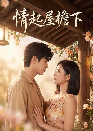 《情起屋檐下（66集）（夸克网盘）》短剧封面