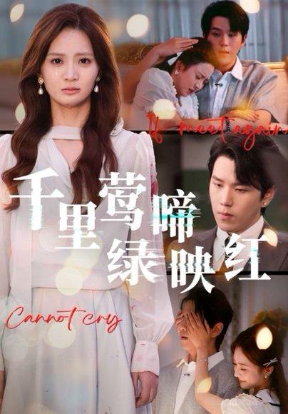 《千里莺啼绿映红(63集)》短剧封面