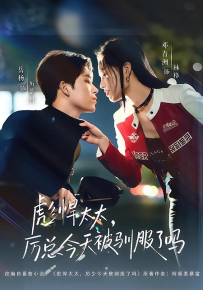 《彪悍太太，厉总今天被驯服了吗（88集）岳杨＆邓青洲（百度网盘）》短剧封面