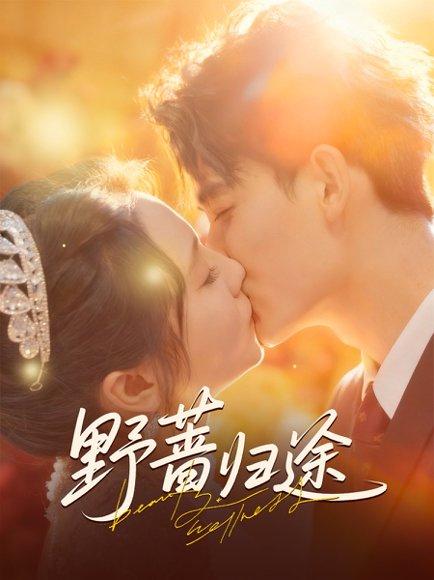 《野蔷归途（80集）李书滔＆尚芸琪》短剧封面