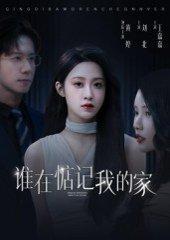 《谁在惦记我的家（30集）刘北&王嘉嘉》短剧封面