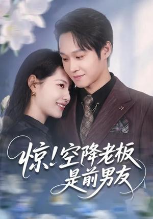 《惊!空降老板是前男友(65集)董洁&王金泽(夸克网盘)》短剧封面