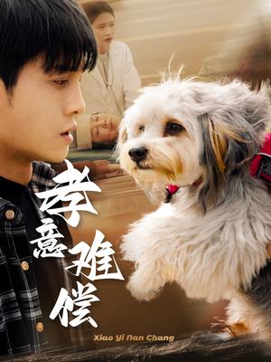 《孝意难偿(32集)(夸克网盘)》短剧封面