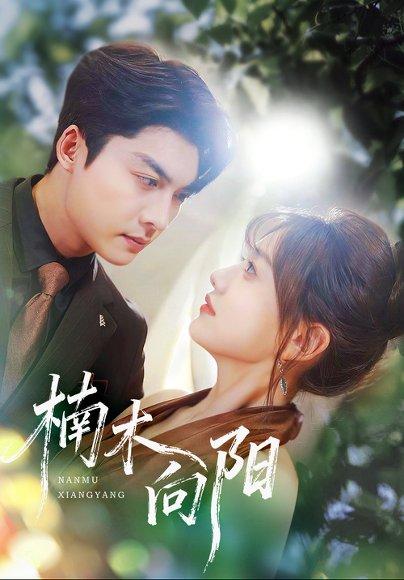 《楠木向阳（70集）方正男＆仇乐瑶》短剧封面