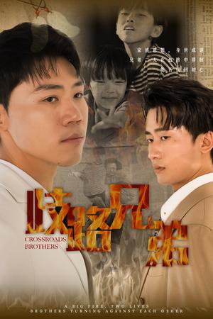 《歧路兄弟（63集）（夸克网盘）》短剧封面