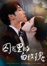 囚笼里的白玫瑰 《囚笼里的白玫瑰》短剧封面