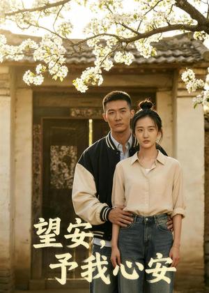 《望安,予我心安(38集)Ai短剧(夸克网盘)》短剧封面